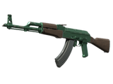 Artwork for [FT] AK-47 | Wintergreen