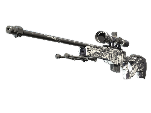AWP | The End