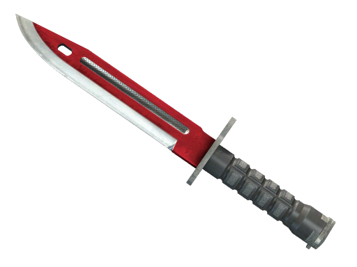 Bayonet | Autotronic