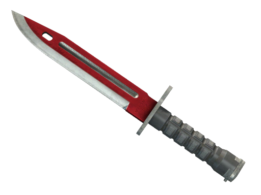 Bayonet | Autotronic