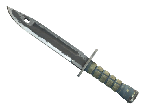 Bayonet | Night