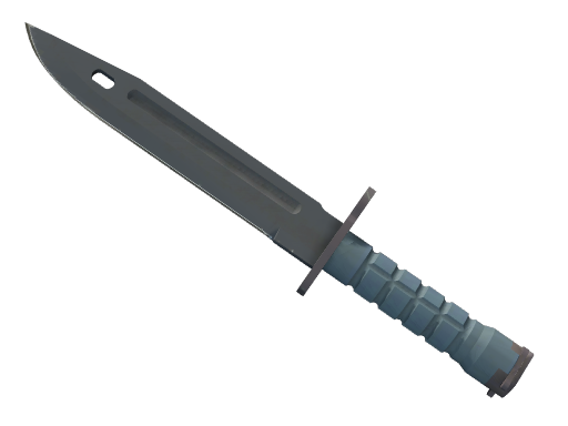 Bayonet | Night