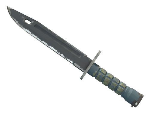 Bayonet | Night