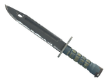 Artwork for [FT] ★ Bayonet | Night