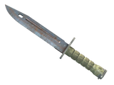 Artwork for [WW] ★ Bayonet | Rust Coat