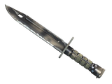 Artwork for [FT] ★ Bayonet | Scorched