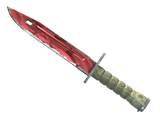 Artwork for [FT] ★ Bayonet | Slaughter