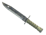 Artwork for [WW] ★ Bayonet | Stained