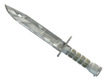 Artwork for [WW] ★ Bayonet | Urban Masked