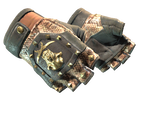 Artwork for [FT] ★ Bloodhound Gloves | Snakebite