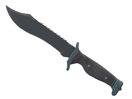 ★ Bowie Knife | Night (Factory New)