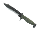 Artwork for ★ Bowie Knife