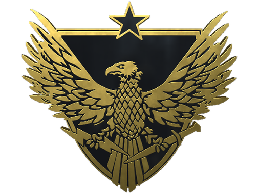 Brigadier General Pin