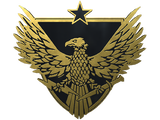 Artwork for Brigadier General Pin