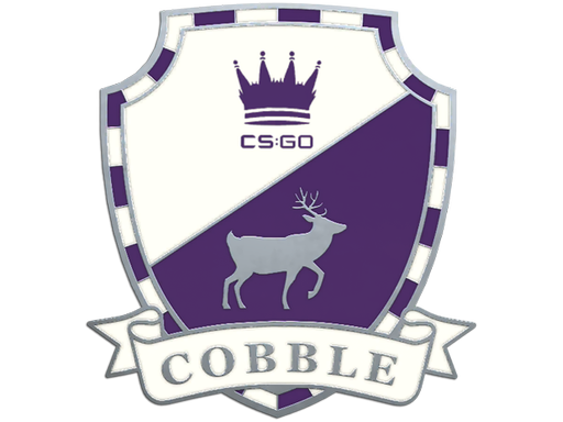 Cobblestone Pin - CS2 Skin