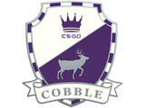 Artwork for Cobblestone Pin