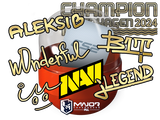 Artwork for Capsule | Copenhagen 2024 Champions Autograph Capsule