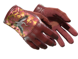 Artwork for [MW] ★ Driver Gloves | Brocade Crane