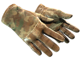 Artwork for [BS] ★ Driver Gloves | Convoy