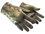 Artwork for [FT] ★ Driver Gloves | Diamondback