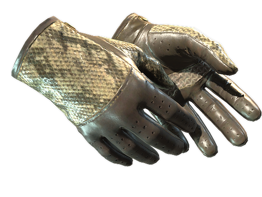 Driver Gloves | Diamondback