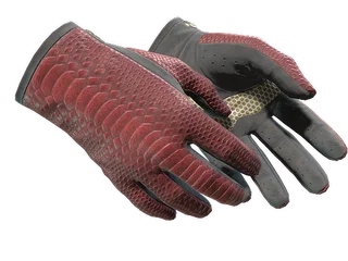 Driver Gloves | Dragon Fists