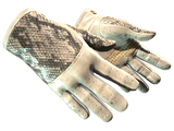 Artwork for [MW] ★ Driver Gloves | King Snake