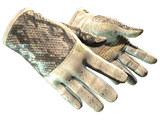 Artwork for [WW] ★ Driver Gloves | King Snake
