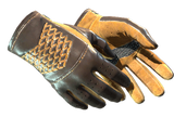 Artwork for [FN] ★ Driver Gloves | Overtake