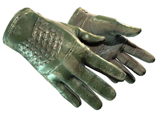 Driver Gloves | Racing Green