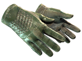 Artwork for [BS] ★ Driver Gloves | Racing Green