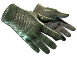 Artwork for [MW] ★ Driver Gloves | Racing Green