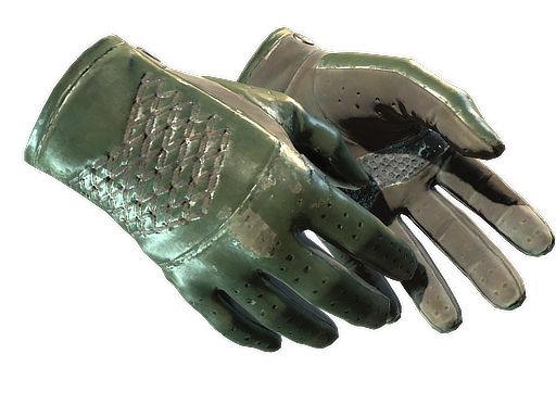Driver Gloves | Racing Green
