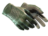 Artwork for [WW] ★ Driver Gloves | Racing Green
