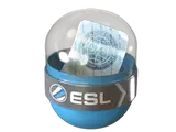 EMS Katowice 2014 Challengers