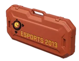 eSports 2013 Case