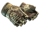 Artwork for [MW] ★ Hydra Gloves | Rattler