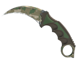 Artwork for [WW] ★ Karambit | Forest DDPAT