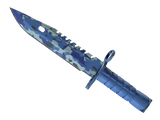 Artwork for [FN] ★ M9 Bayonet | Bright Water