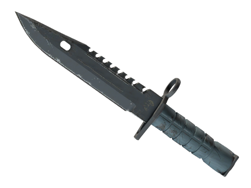 ★ M9 Bayonet | Night (Field-Tested)