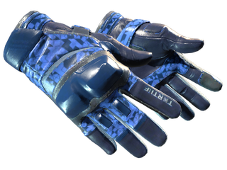 Moto Gloves | Polygon