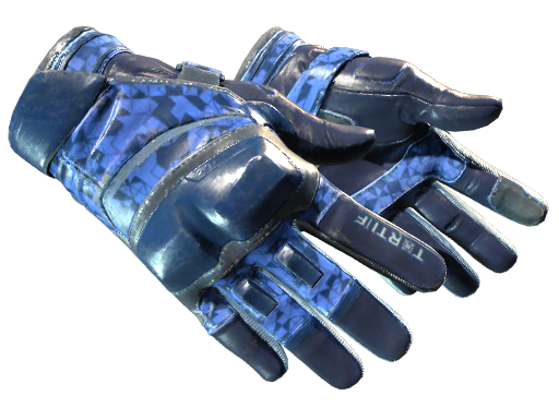 Moto Gloves | Polygon