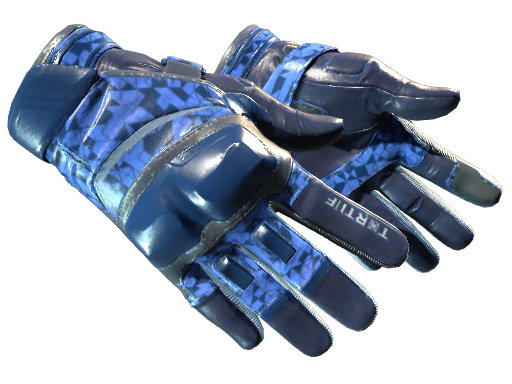 Moto Gloves | Polygon