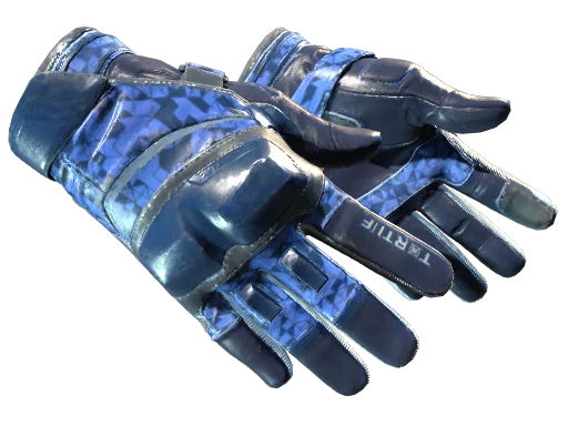 Moto Gloves | Polygon