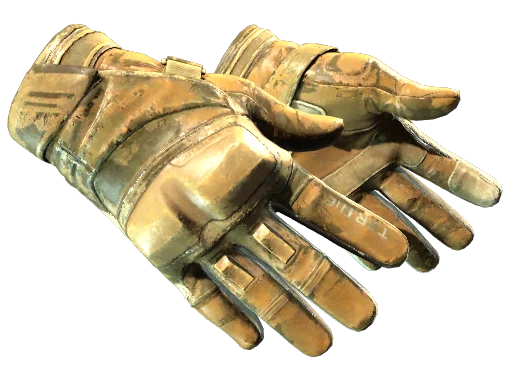 Moto Gloves | Transport