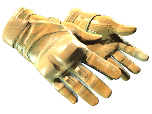Moto Gloves | Transport