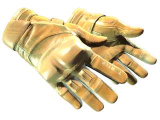 Moto Gloves | Transport