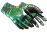 Artwork for [FN] ★ Moto Gloves | Turtle