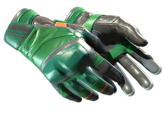 Moto Gloves | Turtle