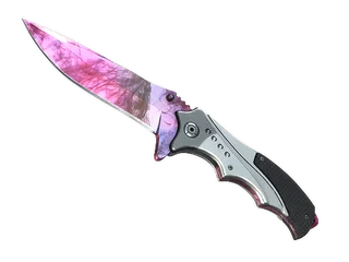 Nomad Knife | Doppler - Phase 2